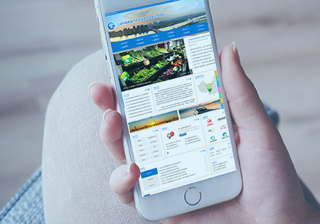 云江電商項目案例